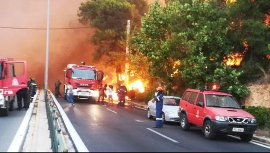 Ambasadorja shqiptare në Athinë: Vetëm një shqiptare e lënduar nga zjarri