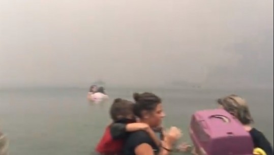 Me fëmijë në krah njerëzit hyjnë në det për t'i shpëtuar flakëve/ Pamje të reja dramatike nga zjarret në Greqi (VIDEO+FOTO)