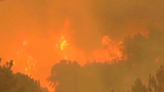 Zjarre masive në Portugali, mbi 700 zjarrëfikës në luftë me flakët/VIDEO