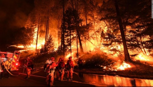 Zjarri përfshin Kaliforninë, 7 vetë humbin jetën, digjen 145 mijë hektarë (Video)
