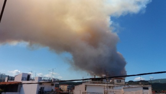 Zjarr i madh në ishullin Evia të Greqisë, evakuohen banorët e dy fshatrave (Video)
