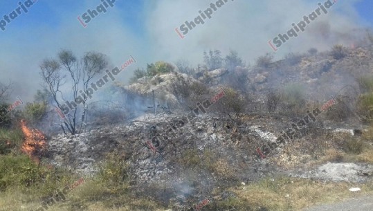 Zjarr masiv në fshatin Bërdicë në Shkodër, shkak dyshohen temperaturat e larta 