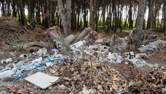 Emergjencë ambientale/ Qytetarët: Pylli i Qerretit varrezë plehrash dhe kantier ndërtimi (Fotot ekskluzive)