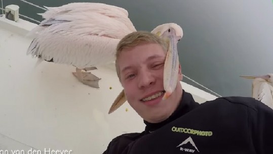I riu po tentonte të bënte selfie, një ‘mik' i paftuar i prish momentin (VIDEO)