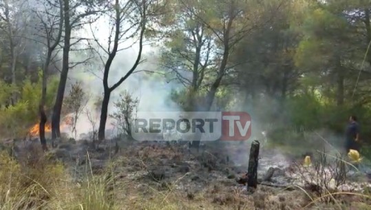Fier/ Zjarri përpin pyllin e Semanit, digjen 2 hektarë me shkurre, Report Tv sjell pamjet me dron (VIDEO)