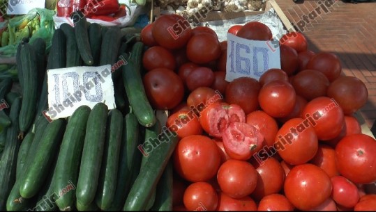 ‘Çmendet’ çmimi  i domateve në Tiranë, 50% më i lartë se në Korçë, tregtarët: S’ka prodhim vendas