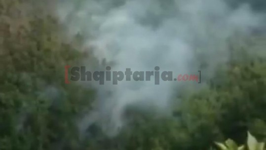 Pas Fierit, vatër zjarri edhe në Kukës, dyshohet e qëllimshme (VIDEO)