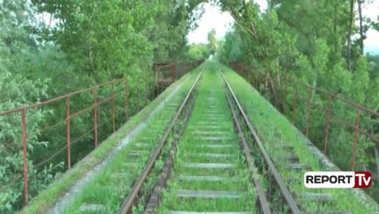 Ura e trenit mbi lumin Ishëm rrezikon shembjen, largohen trarët, asnjë masë nga drejtoria e hekurudhave 