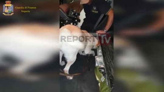 Çifti shqiptar në Itali kapet me 290 mijë euro në makinë, u zbuluan gjatë kontrollit me qen (VIDEO)