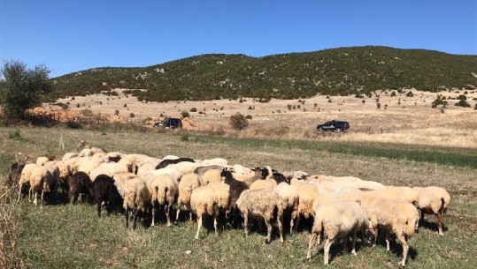 Blen delet në Greqi, 57-vjeçarit i prishet plani, arrestohet teksa tenton t’i fusë kontrabandë në Shqipëri