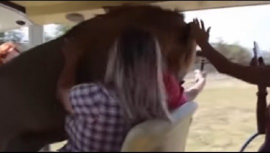 Luani hip në makinën e mbushur me turistë, shikoni reagimin e tyre (Video)