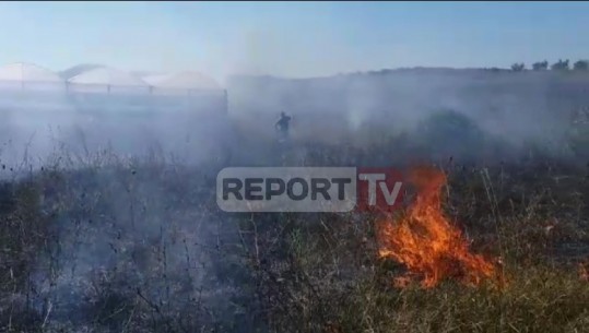 Zjarr masiv në ullishten pranë lagjes “Dyli Haxhire” në Elbasan