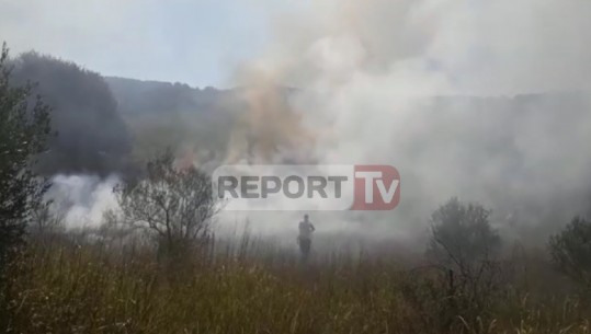 LAJM I FUNDIT/ Zjarr masiv në Zharrëz të Patosit, zjarrfikësit në vendngjarje (VIDEO)