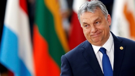PE masa ndëshkuese Hungarisë, shkak, politikat diskriminuese të kryeministrit Viktor Orban 