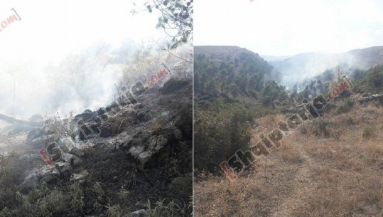 Zjarr në Gjirokastër, shkrumbohen 5 hektarë në zonën e Kërcullës
