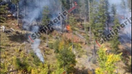 Zjarr në Parkun Kombëtar të Lurës, ndërhyn helikopteri i FA për shuarjen e flakëve (VIDEO)