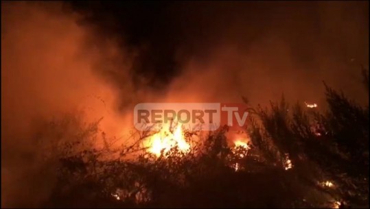 Zjarr në lagjet Piraj dhe Gajush në Lezhë, Gjini: Rrezikohen banesa, dyshohet se janë vënë qëllimisht (VIDEO)