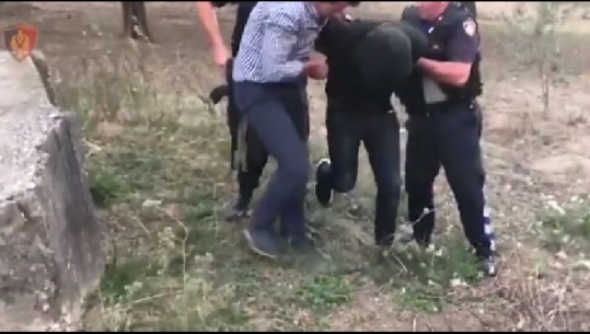 'Policia! Mos Lëviz'/ Ja si u arrestua në ullishte një nga grabitësit e furgonit në Vlorë (VIDEO)