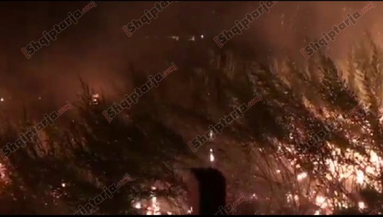 Kreu i Zjarrfikëseve në Lezhë flet për zjarret: Situata problematike në 2 lagje, i kanë ndezur banorët