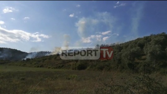 Në flakë kodra me ullishte në Lushnje, favorizohet nga era, vijon zjarri edhe në Finiq (VIDEO)