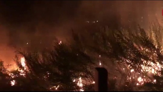 Zjarret në vend/ Digjen 10 ha ullishte në Lushnje, probleme në Velipojë e Lezhë