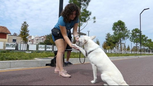 Një “dado” për qenin, tashmë një profesion gjithnjë e më i kërkuar në Shqipëri 