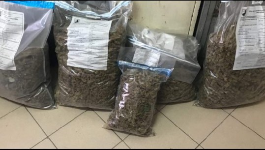 Policia i gjeti 45 kg kanabis në tokën e tij, arrestohet pas 5 muajsh 24-vjeçari nga Vlora (EMRI)