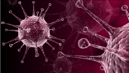 Shkencëtarët: Qelizat imunitare që luftojnë kancerin mund të prodhohen në masë