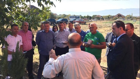 Shkëmbim i përvojave, OSBE-ja mbledh Task Forcat Antikanabis të Vlorës dhe Shkodrës 