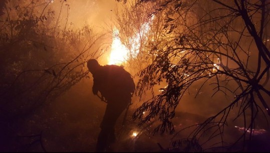 Zjarr gjatë natës në malin e Taraboshit, ndërhyjnë Forcat e Armatosura (FOTO)
