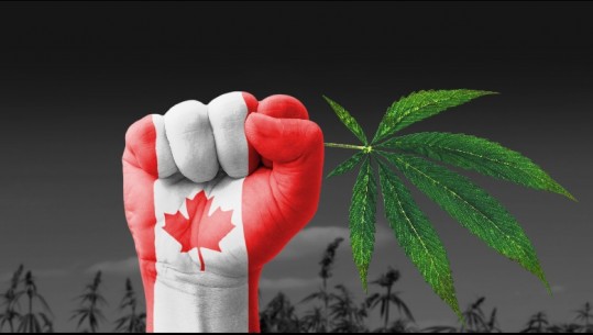 Kanadaja, vendi i dytë në botë që legalizon përdorimin e kanabisit për argëtim