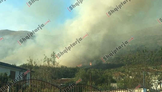 Zjarri masiv në malin e Taraboshit rrezikoi banesat, ngrihet padi ndaj autorit 69-vjeçar