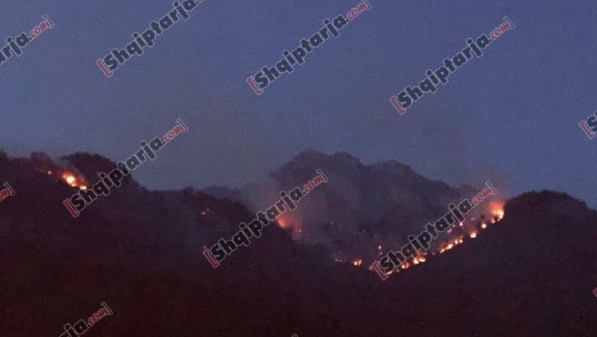 Dy zjarre në Kaninë të Vlorës, flakët përfshijnë një sipërfaqe me ullishte