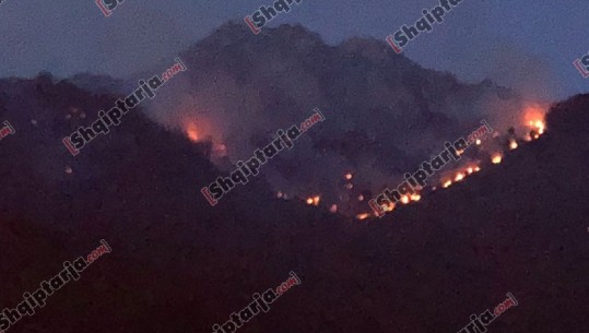 E fundit/ Zjarr në kodrat e Radhimës, digjen disa hektarë me ullishte