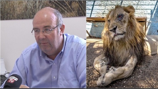 Kushtet e kafshëve në ‘Safari Park’, kreu i AKZM për Report TV: Javën e ardhshme nis transferimi