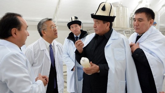 Presidenti i Kirgistanit, 'leksion' për qumështin ambasadorit Donald Lu (FOTO)