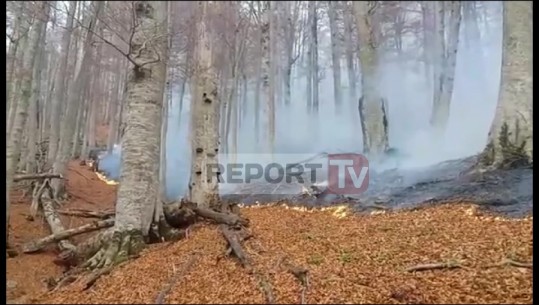 Masivet pyjore pranë Librazhdit prej dy ditësh në flakë, zjarri shtrihet edhe në Shebenik-Jabllanicë(VIDEO)