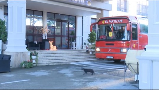 Tiranën nuk e shpëton as macja e zezë, që i preu rrugën Partizanit