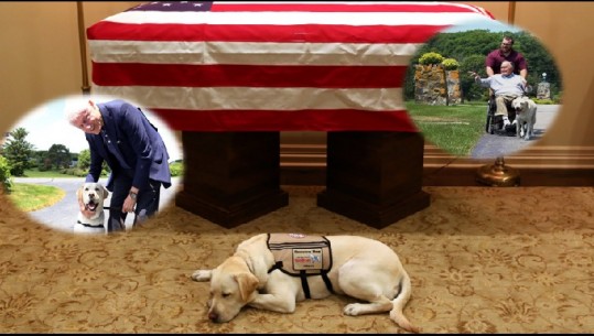 “Misioni u përmbush”, qeni shoqëron ish-presidentin e ndjerë George H.W. Bush për herë të fundit