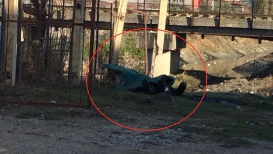 Vlorë, gjendet kufoma e paidentifikuar e një personi (VIDEO)