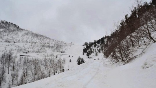 Reshjet e borës izolojnë Thethin, paralizohet aktiviteti i 350 bujtinave (VIDEO)