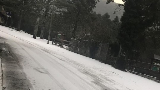 Vlorë/ Llogaraja zbardhet nga bora, vështirësi në qarkullimin e automjeteve (VIDEO)