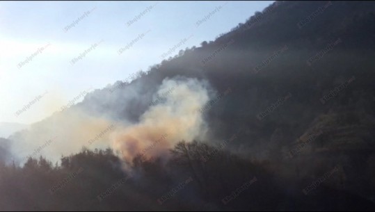 Tepelenë, zjarr në kodrën afër Ujit të Ftohtë, digjen 5 ha kullotë dhe pemë frutore (VIDEO)