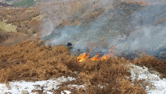 Përfshihet nga flakët një masiv pyjesh në Malësinë e Krujës, dyshohet zjarr i qëllimshëm (VIDEO)