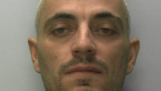 Kopshtar i tarracës me kanabis, shqiptari dënohet me 1 vit burg në Angli