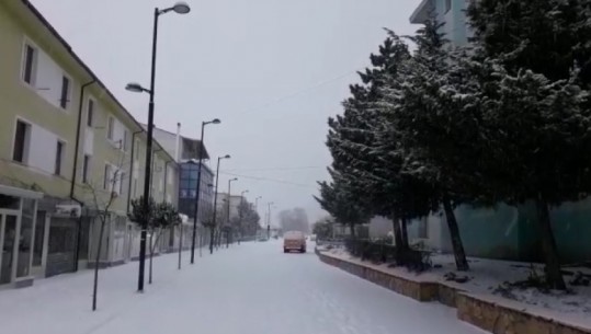 Dëbora në Dibër bllokon gjysmën e fshatrave (VIDEO-FOTO)