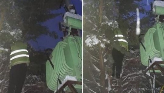 Shkodër, pema bie mbi kabinën elekrike, dëmtohet transformatori