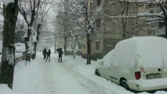 Reshjet e dëborës/ 1.2 m borë në Dibër, probleme në Kukës dhe Korçë, pezullohet mësimi në disa qytete