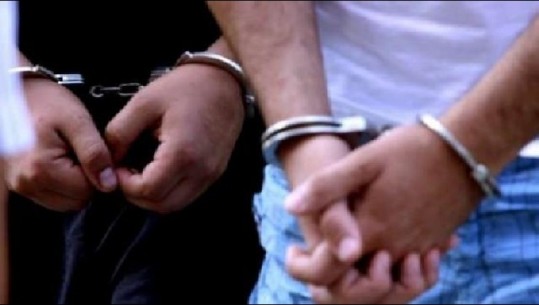 Ishin shpallur në kërkim ndërkombëtar për trafik lëndësh narkotike, arrestohen dy të rinj në Pogradec