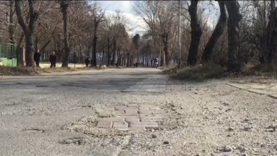 Pogradec, rruga e Tushemishtit e shkatërruar/ Banorët ankohen: Prej vitesh nuk është vënë dorë